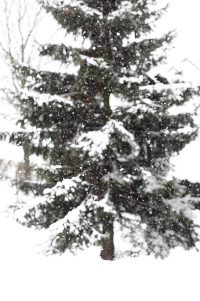 f_img